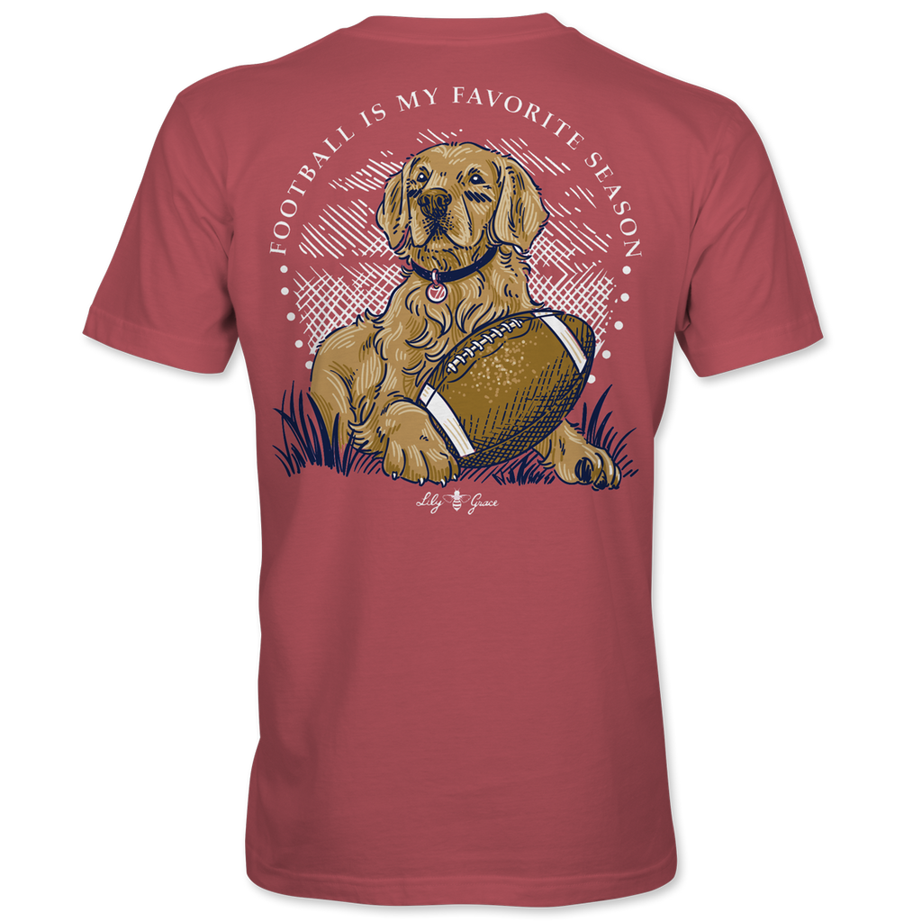 Football Favorite - 21743 - Brick